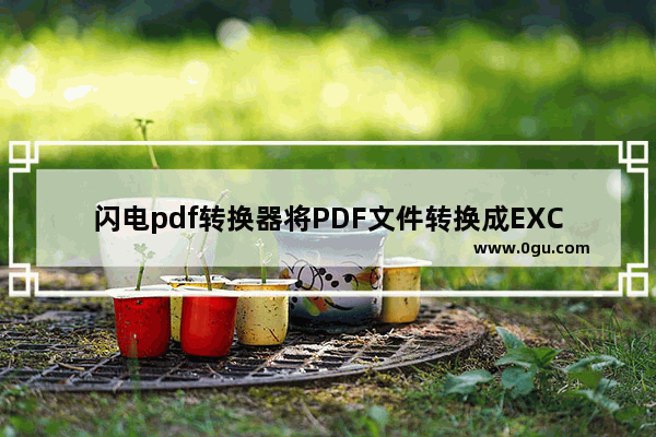 闪电pdf转换器将PDF文件转换成EXCEL的方法