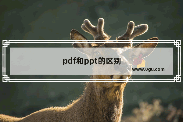 pdf和ppt的区别