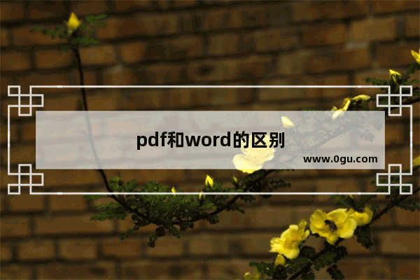 pdf和word的区别