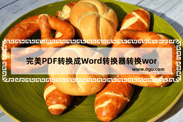 完美PDF转换成Word转换器转换word文件的方法