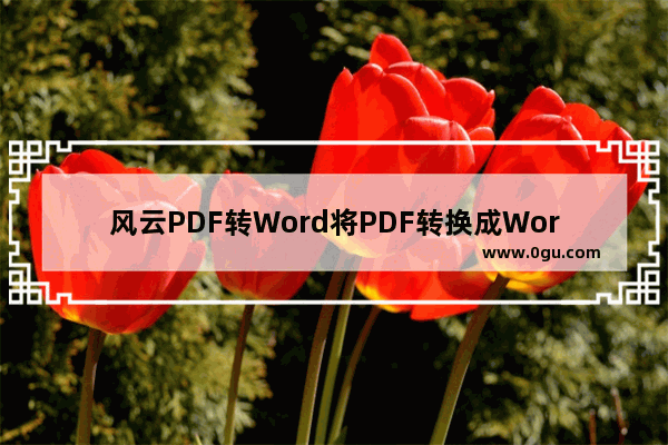 风云PDF转Word将PDF转换成Word的方法