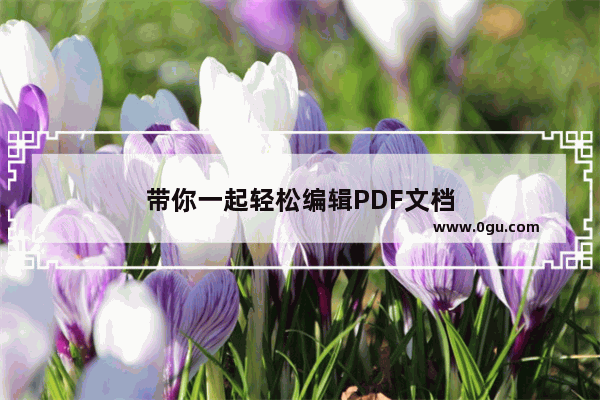 带你一起轻松编辑PDF文档