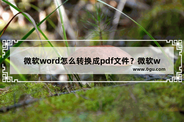 微软word怎么转换成pdf文件？微软word转换为pdf格式的方法