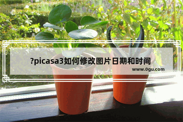 ?picasa3如何修改图片日期和时间 ?picasa3调整图片日期和时间的方法