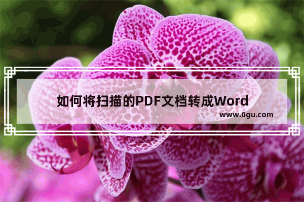 如何将扫描的PDF文档转成Word