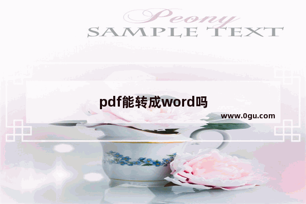 pdf能转成word吗