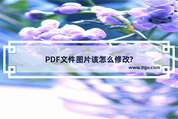 PDF文件图片该怎么修改?