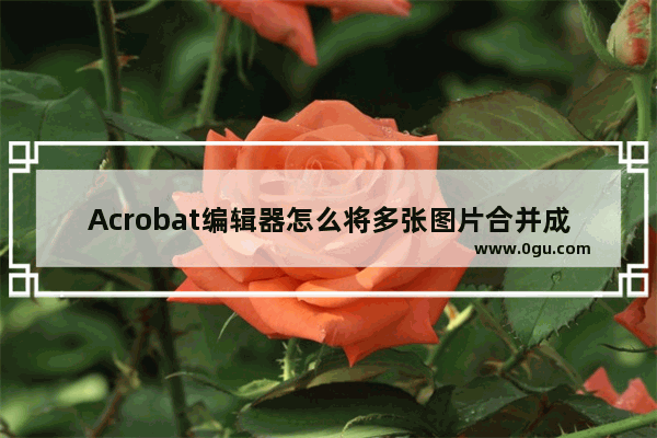 Acrobat编辑器怎么将多张图片合并成PDF并添加水印?