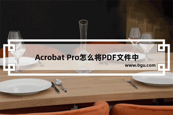 Acrobat Pro怎么将PDF文件中的文字全部转曲?