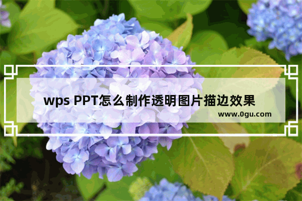 wps PPT怎么制作透明图片描边效果 WPS PPT给透明图片添加边框的方法