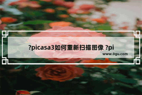 ?picasa3如何重新扫描图像 ?picasa3重新扫描图像的方法