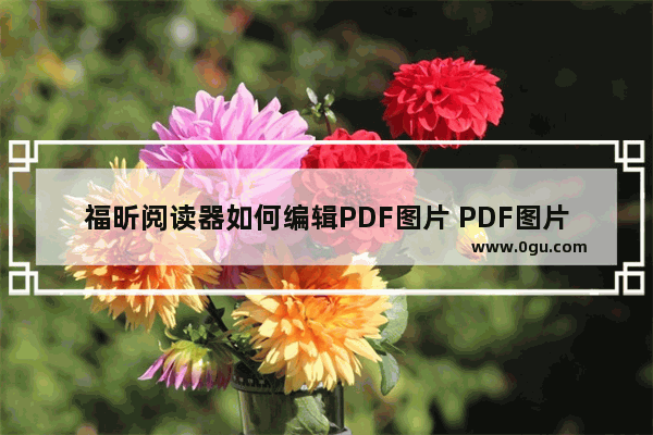 福昕阅读器如何编辑PDF图片 PDF图片编辑技巧