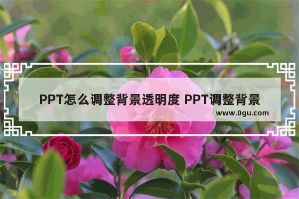 PPT怎么调整背景透明度 PPT调整背景透明度的方法