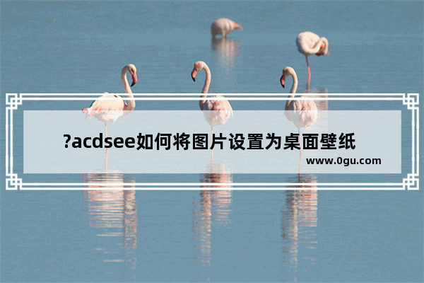 ?acdsee如何将图片设置为桌面壁纸 ?acdsee将图片设置为桌面壁纸的方法