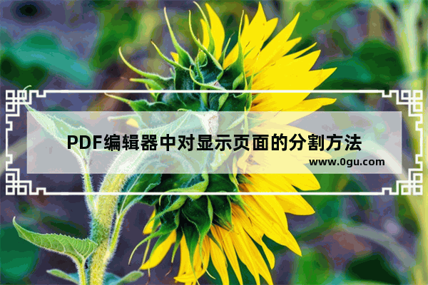 PDF编辑器中对显示页面的分割方法