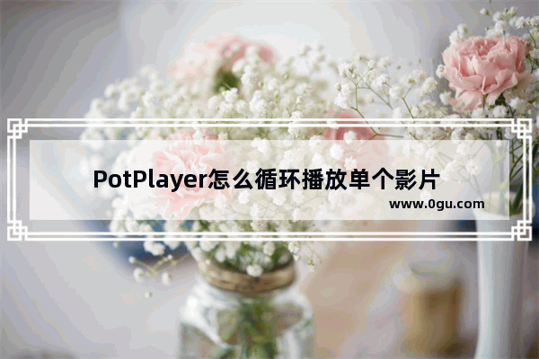 PotPlayer怎么循环播放单个影片 PotPlayer循环播放单个影片的方法