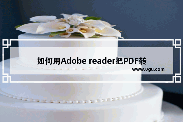 如何用Adobe reader把PDF转换成word文档