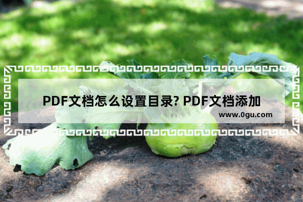 PDF文档怎么设置目录? PDF文档添加目录的教程