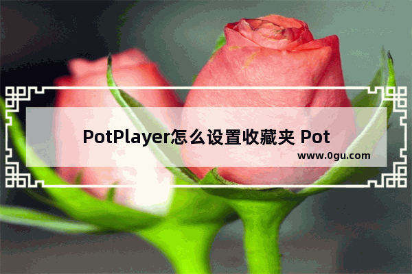 PotPlayer怎么设置收藏夹 PotPlayer创建收藏夹的方法