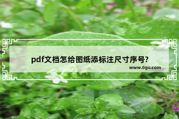 pdf文档怎给图纸添标注尺寸序号?