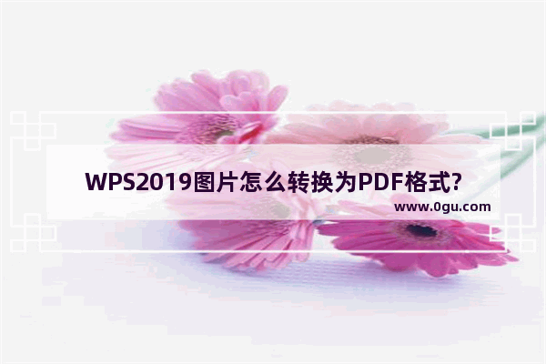 WPS2019图片怎么转换为PDF格式?