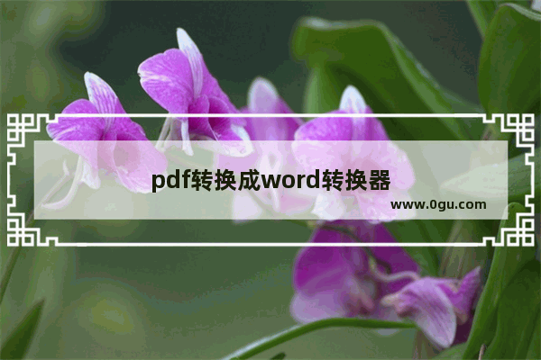 pdf转换成word转换器