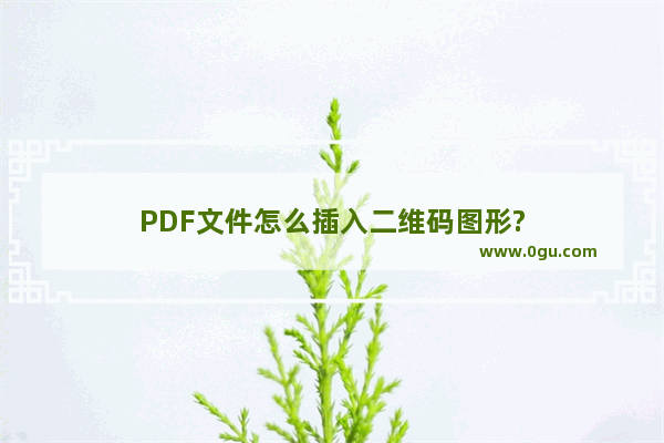 PDF文件怎么插入二维码图形?