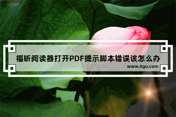 福昕阅读器打开PDF提示脚本错误该怎么办?