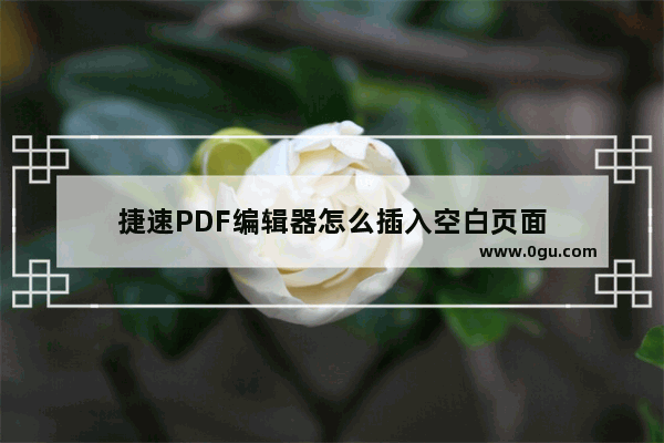 捷速PDF编辑器怎么插入空白页面