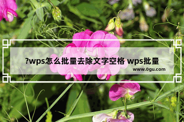 ?wps怎么批量去除文字空格 wps批量删除文档空格的方法