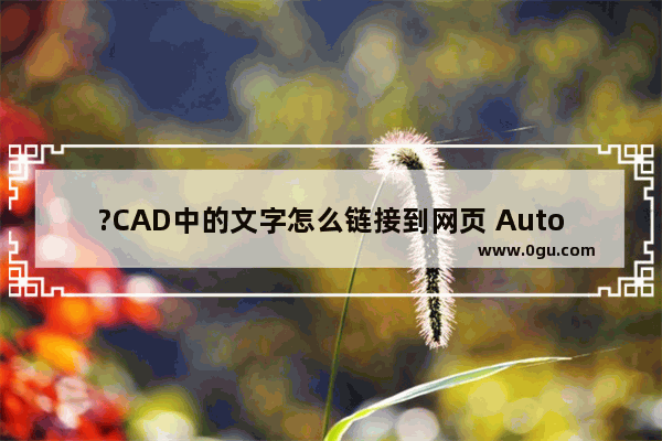 ?CAD中的文字怎么链接到网页 AutoCAD中文字超链接到网页的方法教程