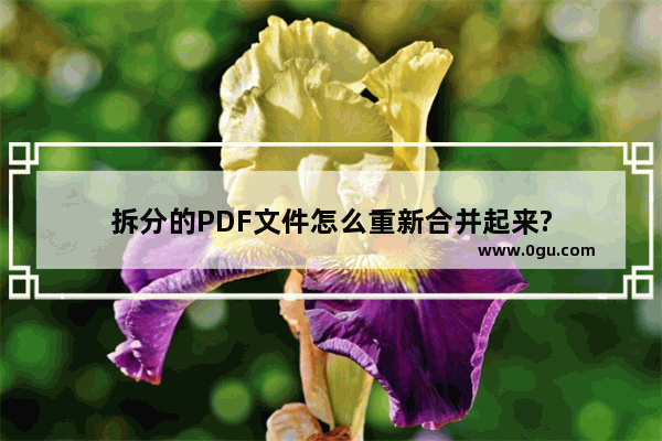 拆分的PDF文件怎么重新合并起来?