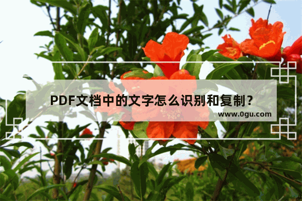 PDF文档中的文字怎么识别和复制？