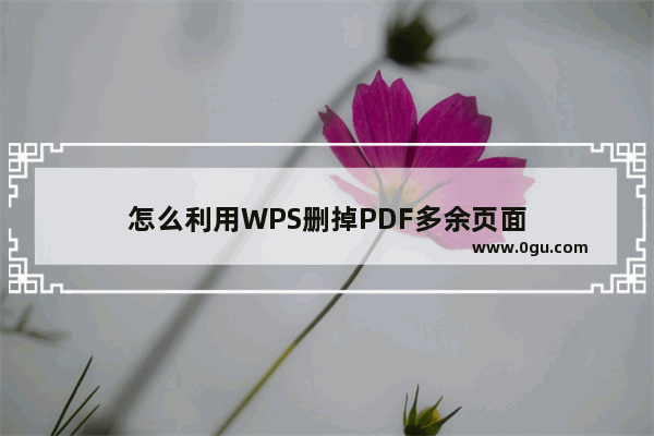 怎么利用WPS删掉PDF多余页面