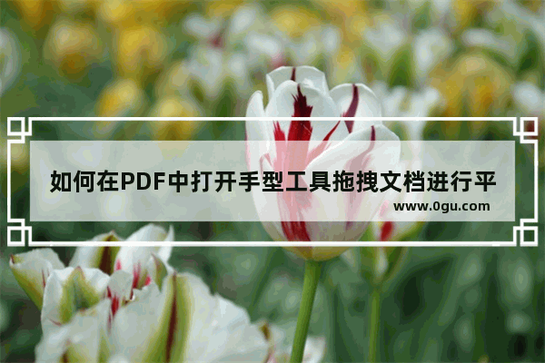 如何在PDF中打开手型工具拖拽文档进行平移？