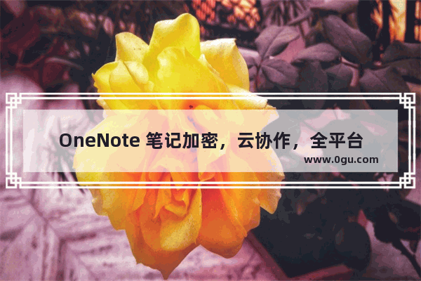 OneNote 笔记加密，云协作，全平台可用，导出Word、PDF文档等等