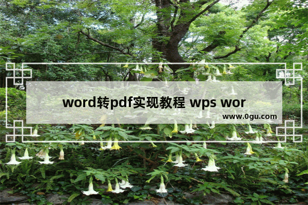 word转pdf实现教程 wps word转pdf需要会员吗？