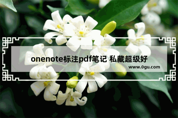 onenote标注pdf笔记 私藏超级好用的OneNote笔记法