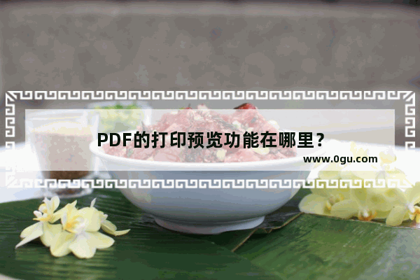 PDF的打印预览功能在哪里？