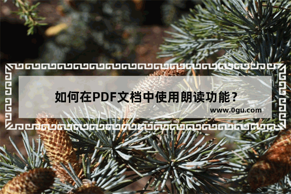 如何在PDF文档中使用朗读功能？