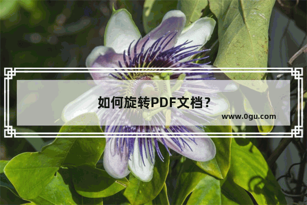 如何旋转PDF文档？