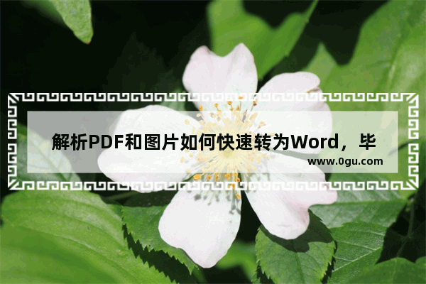 解析PDF和图片如何快速转为Word，毕业季，轻松搞定论文