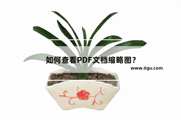 如何查看PDF文档缩略图？