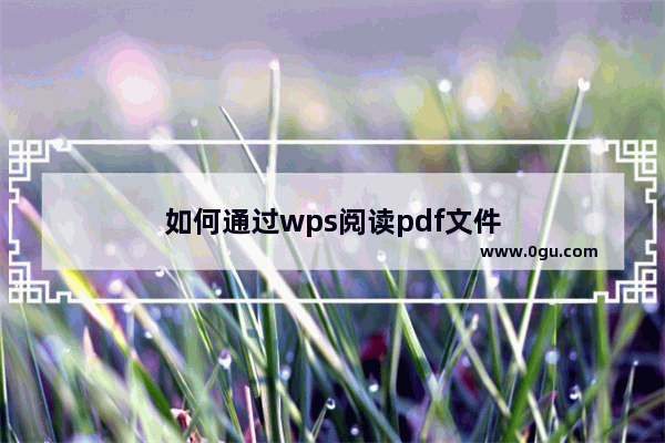 如何通过wps阅读pdf文件