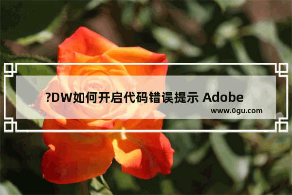 ?DW如何开启代码错误提示 Adobe Dreamweaver打开提示错误的方法教程