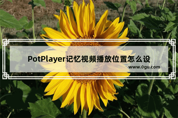 PotPlayer记忆视频播放位置怎么设置 PotPlayer记忆视频播放位置的方法