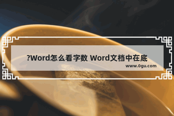 ?Word怎么看字数 Word文档中在底部显示字数的方法教程