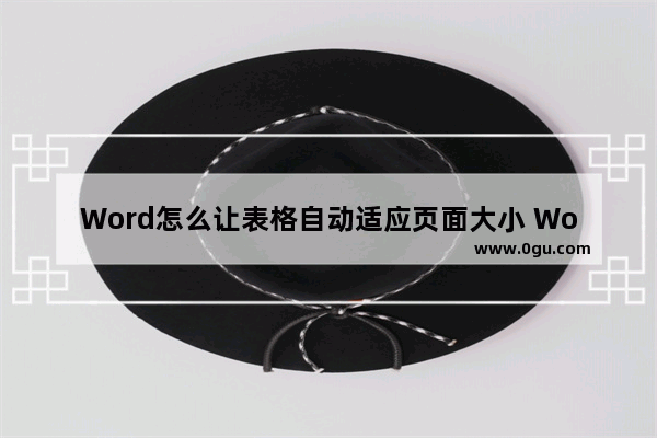 Word怎么让表格自动适应页面大小 Word表格设置自适应页面大小的方法