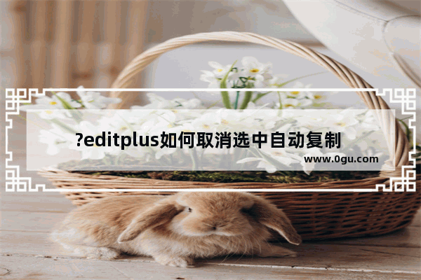 ?editplus如何取消选中自动复制 ?editplus取消自动复制选中文本的方法