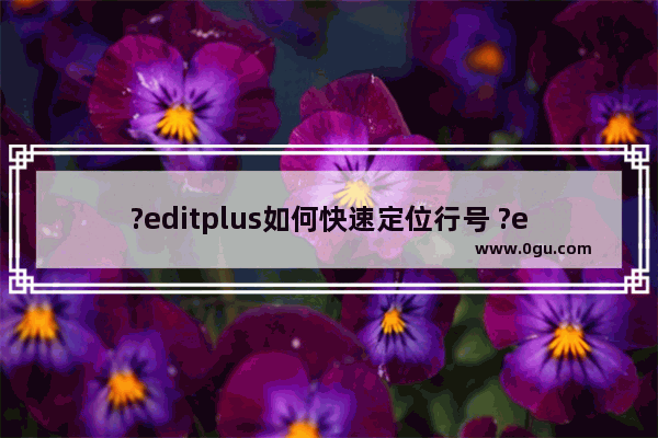 ?editplus如何快速定位行号 ?editplus转到指定行的方法